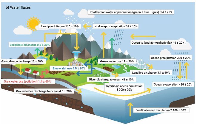 Diagram of the global hydrological cycle in the
Anthropocene
